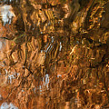 St. Johns reflection I