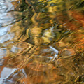 St. Johns reflection II