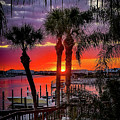 Three Palms River Sunrise